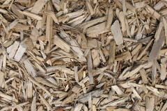 biomass boilers Ganton